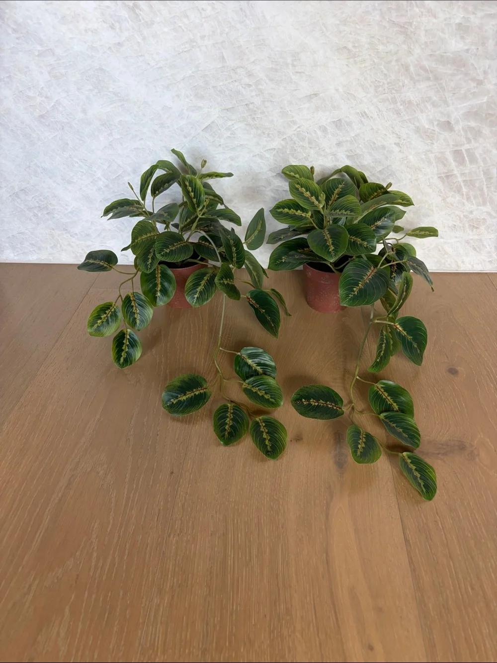 Hobby Lobby Faux Maranta Leaf “Prayer Plant” Set of 2, LIKE NEW